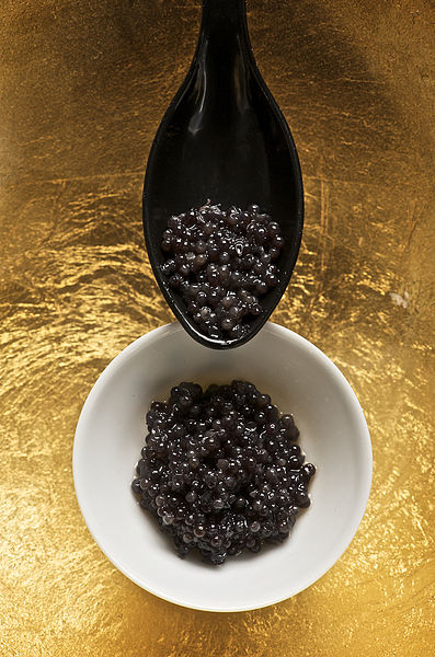 caviar beluga