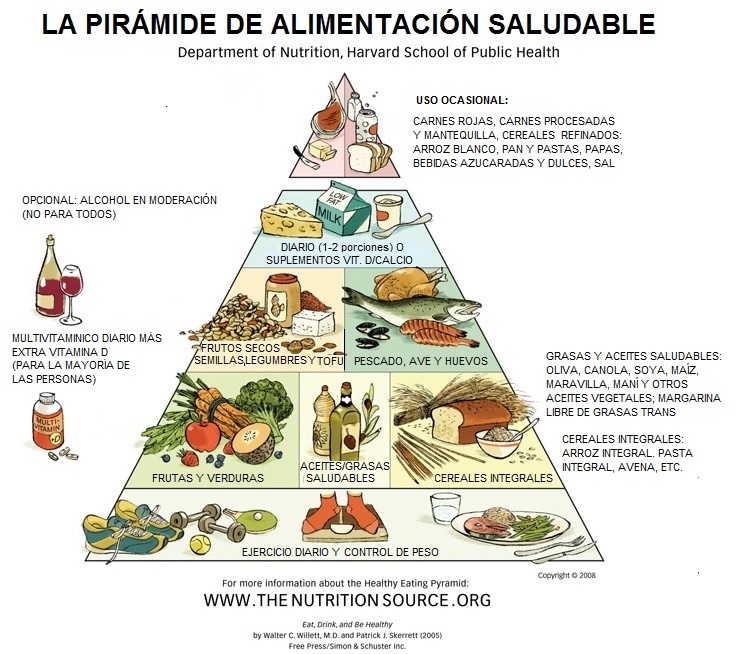 Plato de Harvard: cómo comer bien y por qué la pirámide alimenticia ya no  es el mejor referente