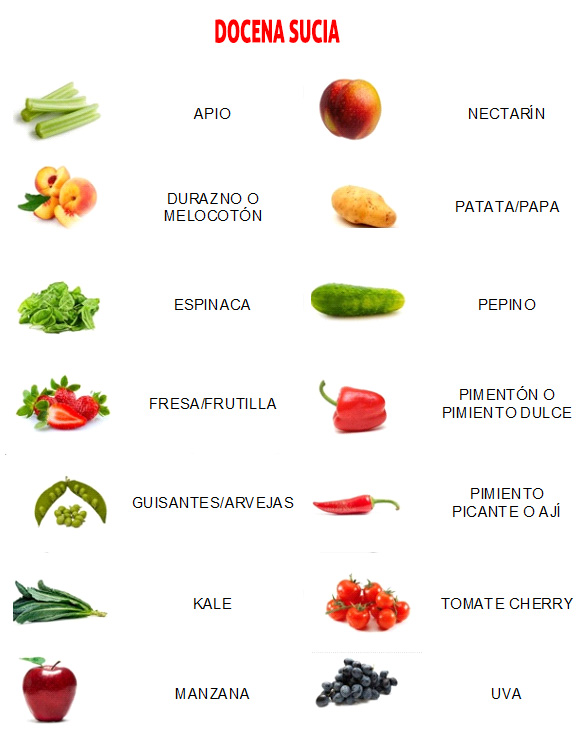 Frutas y Hortalizas (verduras): Recomendaciones - Edualimentaria