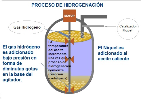 proceso de hidrogenación