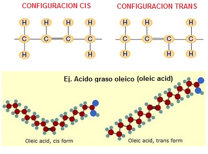 configuracion cis trans acido oleico
